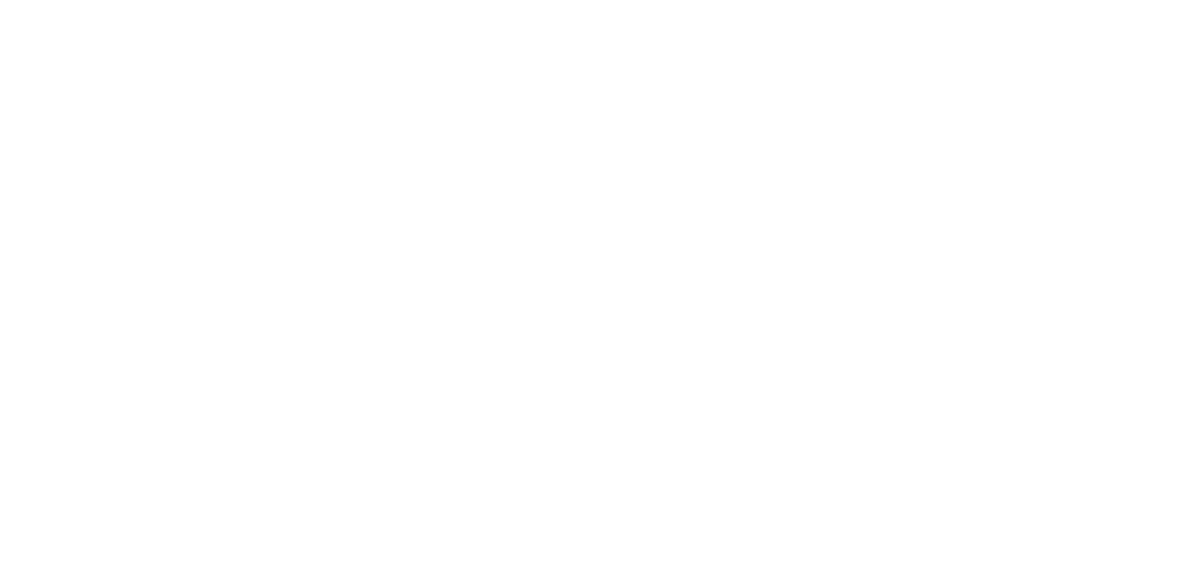 Videsk